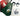 Canadian Football League leather luggage tags